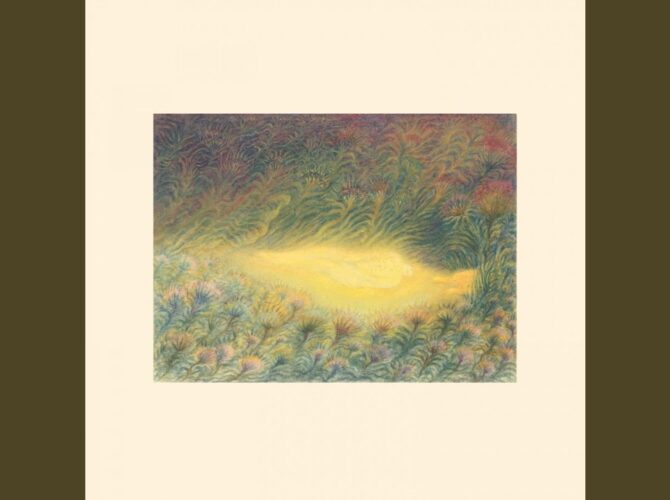 Sofie Birch & Antonina Nowacka - Sudany